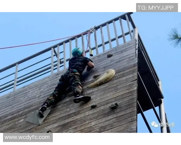 深圳排球队逆袭之路揭秘大师赛特别报道展现拼搏精神与团队力量