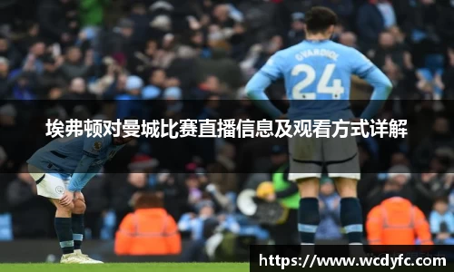 世俱杯中国官网入口