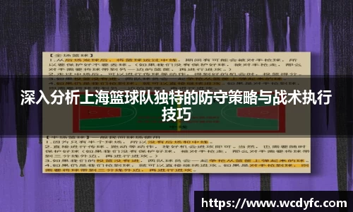 深入分析上海篮球队独特的防守策略与战术执行技巧
