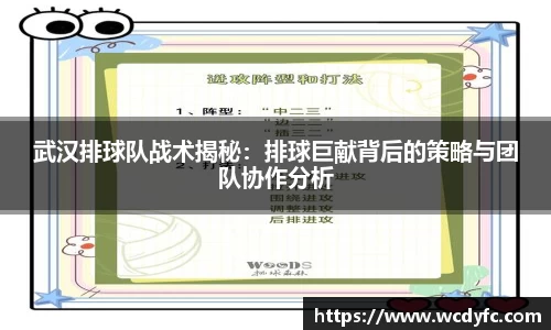 武汉排球队战术揭秘：排球巨献背后的策略与团队协作分析